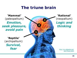 Attraction and the brain pua picture